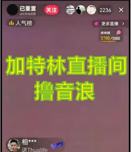2023抖音加特林直播间搭建技术,0粉开播-暴力撸音浪-日入800 【素材 教程】插图1 2023抖音加特林直播间搭建技术,0粉开播-暴力撸音浪-日入800 【素材 教程】插图1